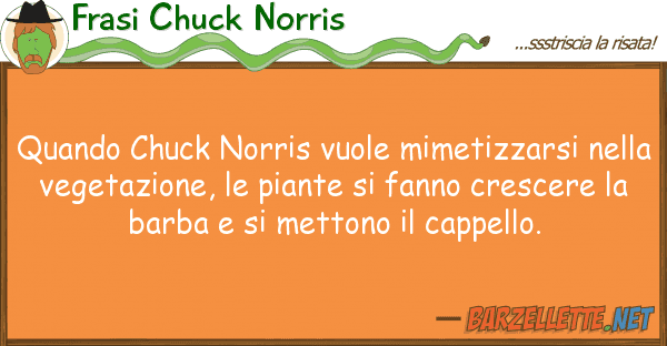 Frasi Chuck Norris quando chuck norris vuole mimetizzarsi n