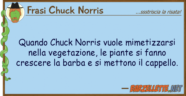 Frasi Chuck Norris quando chuck norris vuole mimetizzarsi n