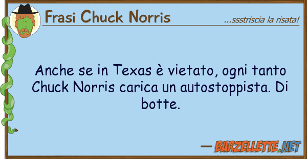 Frasi Chuck Norris texas è vietato, ogni tanto