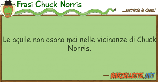 Frasi Chuck Norris aquile osano mai vicinanze