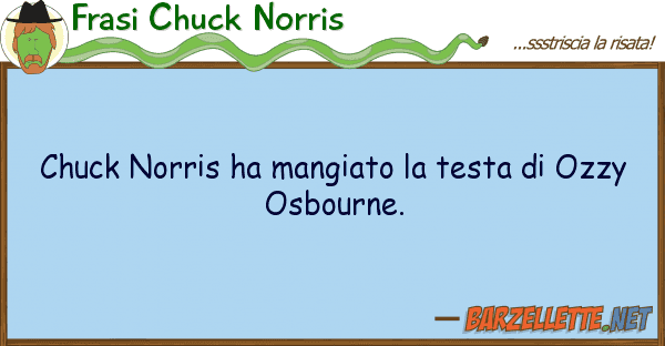 Frasi Chuck Norris chuck norris ha mangiato testa ozz