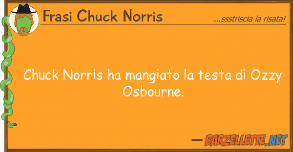 Frasi Chuck Norris chuck norris ha mangiato testa ozz