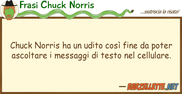 Frasi Chuck Norris chuck norris ha udito così fine p