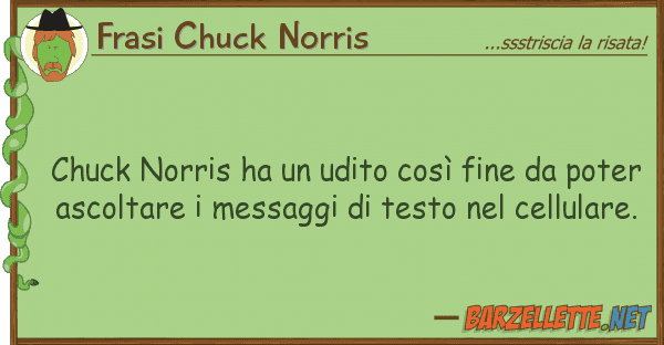Frasi Chuck Norris chuck norris ha udito così fine p