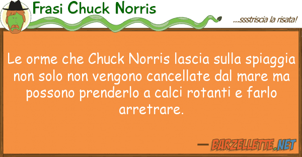 Frasi Chuck Norris orme chuck norris lascia sp