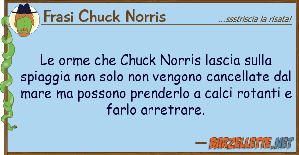 Frasi Chuck Norris orme chuck norris lascia sp