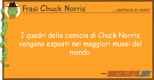 Frasi Chuck Norris quadri camicia chuck norris v