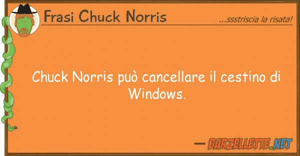 Frasi Chuck Norris chuck norris può cancellare cestino