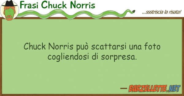 Frasi Chuck Norris chuck norris può scattarsi foto cog