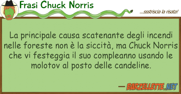 Frasi Chuck Norris principale causa scatenante inc