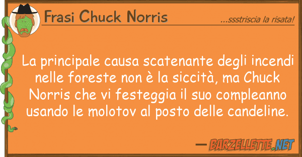 Frasi Chuck Norris principale causa scatenante inc