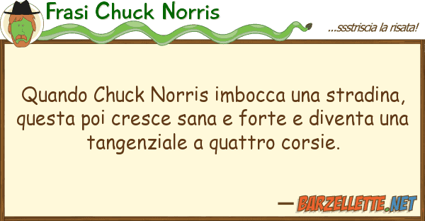 Frasi Chuck Norris quando chuck norris imbocca stradina
