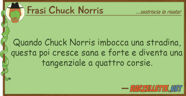 Frasi Chuck Norris quando chuck norris imbocca stradina