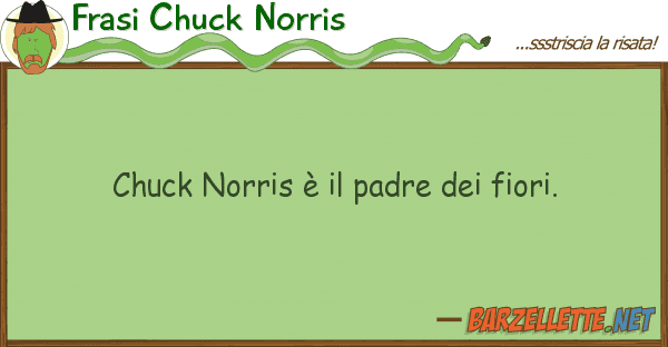 Frasi Chuck Norris chuck norris è padre fiori.