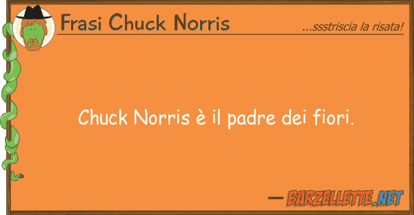 Frasi Chuck Norris chuck norris è padre fiori.