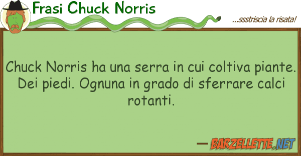 Frasi Chuck Norris chuck norris ha serra coltiva
