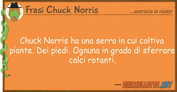 Frasi Chuck Norris chuck norris ha serra coltiva