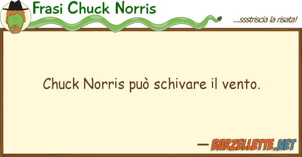 Frasi Chuck Norris chuck norris può schivare vento.