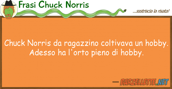 Frasi Chuck Norris chuck norris ragazzino coltivava h