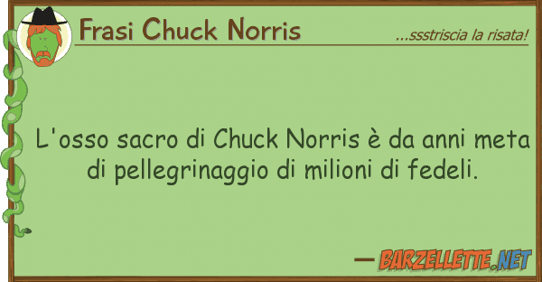 Frasi Chuck Norris l'osso sacro chuck norris è anni