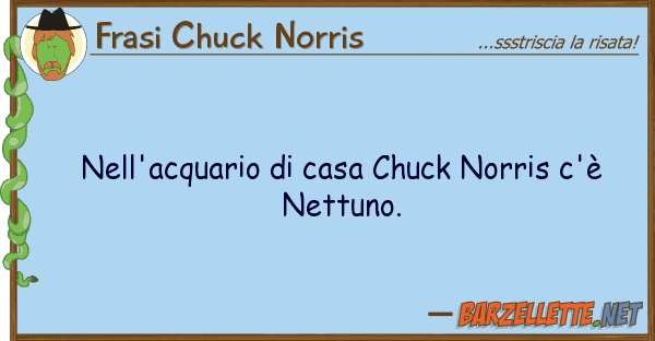 Frasi Chuck Norris nell'acquario casa chuck norris c'è