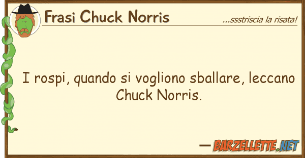 Frasi Chuck Norris rospi, quando vogliono sballare,