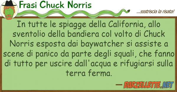 Frasi Chuck Norris tutte spiagge california,