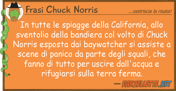 Frasi Chuck Norris tutte spiagge california,