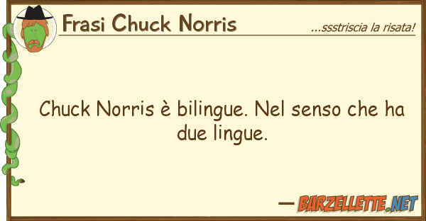 Frasi Chuck Norris chuck norris è bilingue. senso