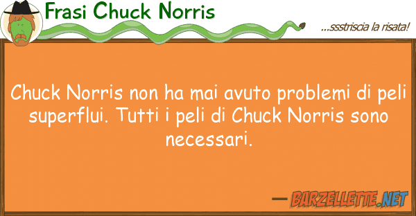 Frasi Chuck Norris chuck norris ha mai avuto problemi d