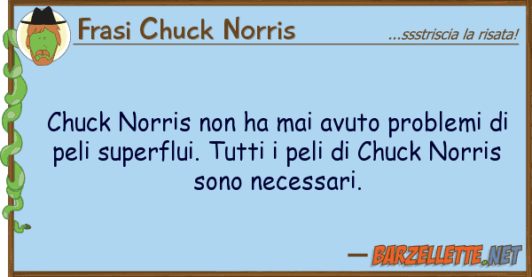 Frasi Chuck Norris chuck norris ha mai avuto problemi d