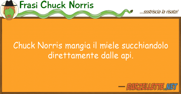 Frasi Chuck Norris chuck norris mangia miele succhiandol