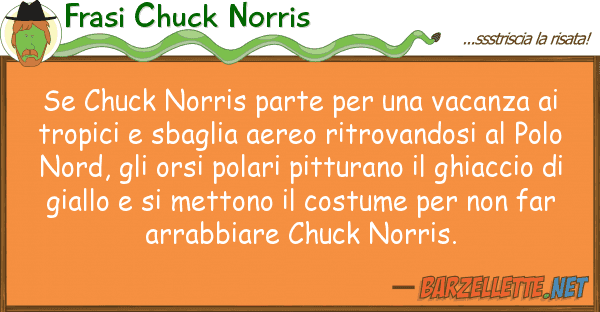 Frasi Chuck Norris chuck norris parte vacanza