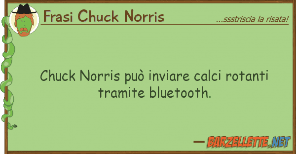 Frasi Chuck Norris chuck norris può inviare calci rotanti