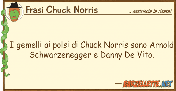 Frasi Chuck Norris gemelli polsi chuck norris sono