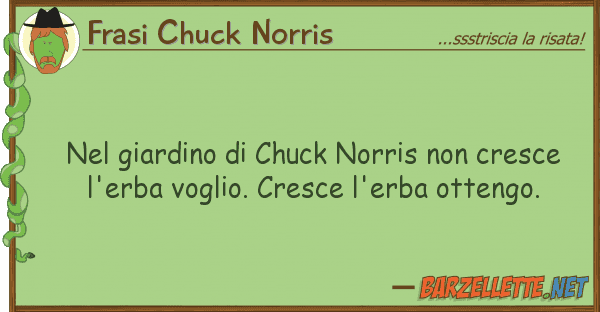 Frasi Chuck Norris giardino chuck norris cresce