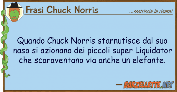 Frasi Chuck Norris quando chuck norris starnutisce