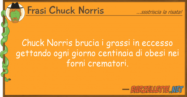 Frasi Chuck Norris chuck norris brucia grassi eccesso