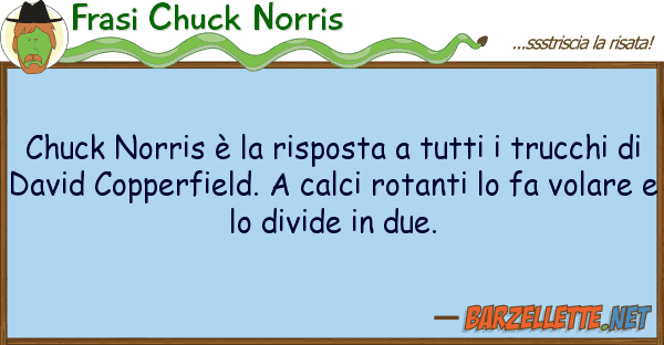 Frasi Chuck Norris chuck norris è risposta tr