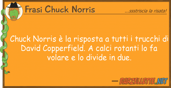Frasi Chuck Norris chuck norris è risposta tr