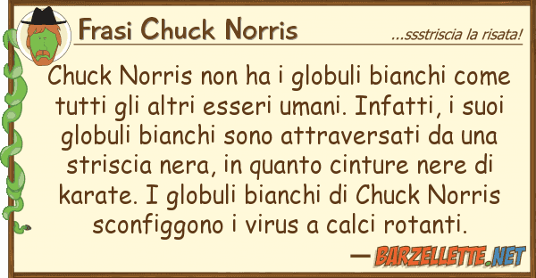 Frasi Chuck Norris chuck norris ha globuli bianchi co