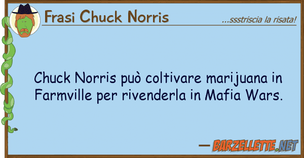 Frasi Chuck Norris chuck norris può coltivare marijuana