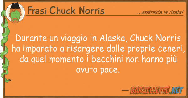 Frasi Chuck Norris durante viaggio alaska, chuck norr