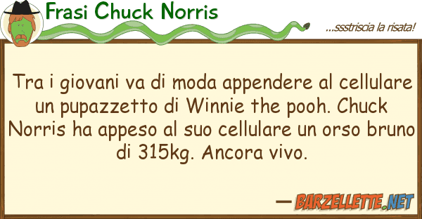 Frasi Chuck Norris giovani va moda appendere ce