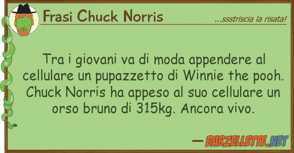 Frasi Chuck Norris giovani va moda appendere ce