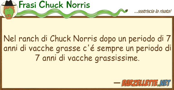 Frasi Chuck Norris ranch chuck norris dopo period