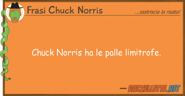 Frasi Chuck Norris chuck norris ha palle limitrofe.