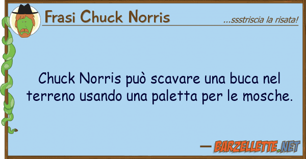 Frasi Chuck Norris chuck norris può scavare buca t
