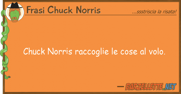 Frasi Chuck Norris chuck norris raccoglie cose volo.