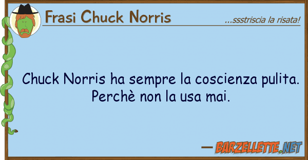 Frasi Chuck Norris chuck norris ha sempre coscienza puli